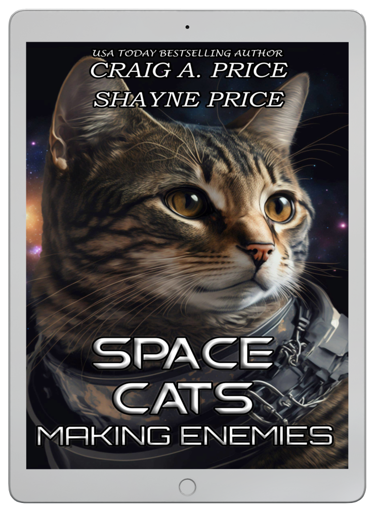 Space Cats: Making Enemies